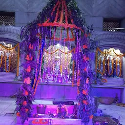 Sri Kashi Vishwanath Naya Mandir Swami Karapatri Dwara Pratishthith