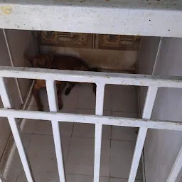 Sri Krishna Pet clinic Pet shop Pet hostel Pet spa Pet surgery in Dindigul