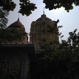 Sri Lakshmi Narayana Temple