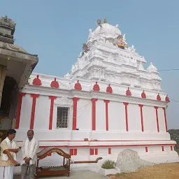 Sri Laxmi Ranganatha Swamy Temple ( Ranganayakula Gutta)