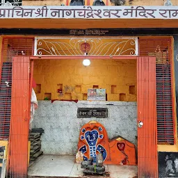 Sri Naag Chandrareshwar Mandir