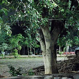 Sri Nagalingeswara Swamy Alayam (Maha Shiva Lingam)