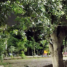 Sri Nagalingeswara Swamy Alayam (Maha Shiva Lingam)