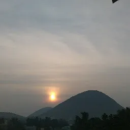 Sri Nagendra Swami Temple