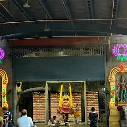 Sri Padmavati Ammavaari Temple
