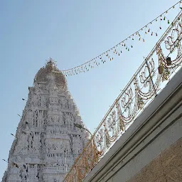 Sri Padmavati Ammavaari Temple