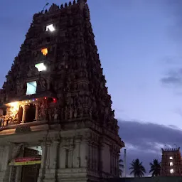 Shri Panchalinga Nageshwara Temple