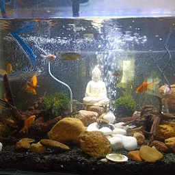 Sri R.K. Aquarium & Pet Shop (Grooming & Parlour)