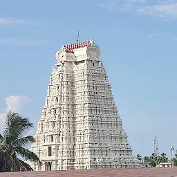 Sri Ranganatha Swamy Temple, Srirangam (Divya Desam)