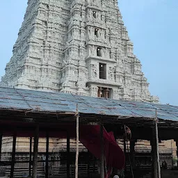 Sri Ranganayaki Thaayaar Sannadhi