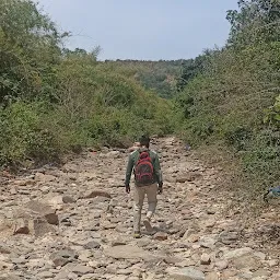 Sri Siddheiswara Swami Kona Waterfalls , Rapuru - Tourist attraction ...