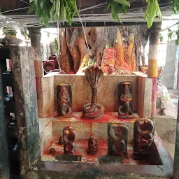 Sri Sri Sri Nagendra Swamy vari Devastanam (Putta)