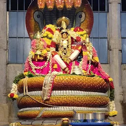 Sri Srinivasaperumal Temple Pallavarayanpettai