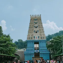 Sri Varahalakshmi Narasimha Swamy Vari Devasthanam