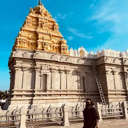 Sri Venkateswara Swamy Temple Arch