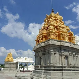 Sri Venkateswara Swamy Temple Arch