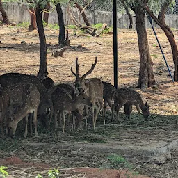 Sri Venkateswara Zoological Park
