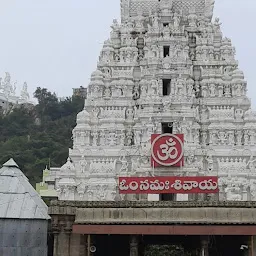 Srikalahasti temple entrance gate