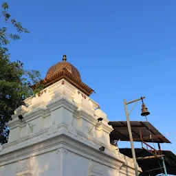 Srila Sri Rajagopala Svamigal Siddhar