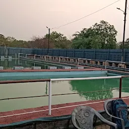 Srilata Swimming pool