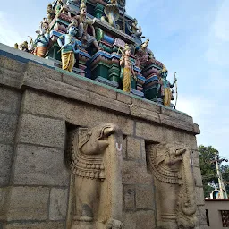 srinivasan perumal kovil