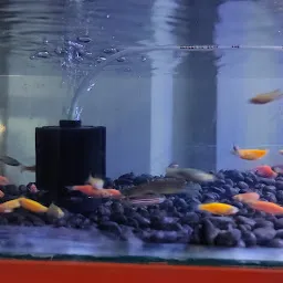 SS Aquarium