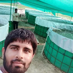 SS Fish Farm