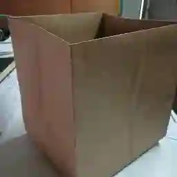 SS PAPER Bags