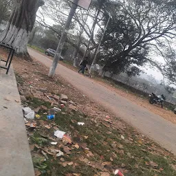 Statue of Lakshminath Bezbaruah