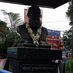 Statue Of S N Banerjee