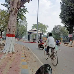 Statue of Sri Krishna Singh,