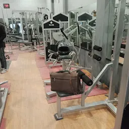 steel gym point