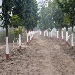 स्थायी पौधशाला, वन विकास केन्द्र, कटिहार