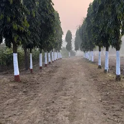 स्थायी पौधशाला, वन विकास केन्द्र, कटिहार