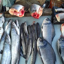 Street Fish Market مچھلی بازار