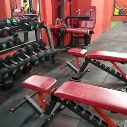 Strength Yard Gym