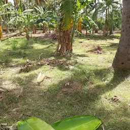 Suba Garden