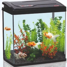 Suhana Aquarium