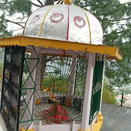 Sui Mata Mandir, सुई माता मंदिर