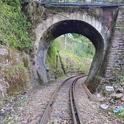 Summer hill shimla