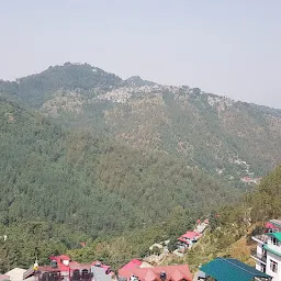 Summer hill shimla