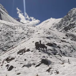 Summit Himalaya Trek& Tours