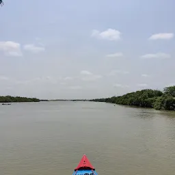 Sundarban Safari