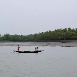 Sundarban Tiger Safari