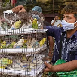 Sunday Pet Market