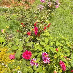 Sundraban Rose Garden