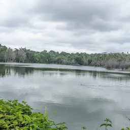 Sunkalpalya Lake Karnataka Forest Department