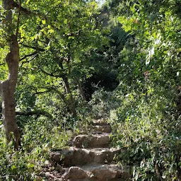 sunrise trek rishikesh