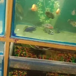 Suraj Fish Aquarium