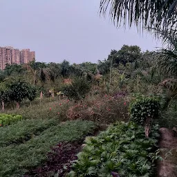 Surajpur Forest Nursery